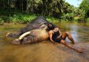 படை தலைவன் – விமர்சனம்